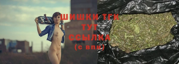 гидропоника Абаза